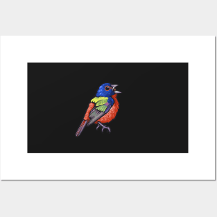 Painted Bunting Posters and Art